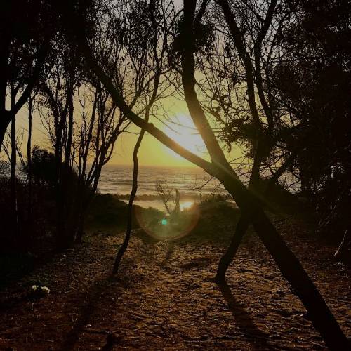 خدا جون دلی بشکسته داروم بنالوو تا همه عالم بدونن از جدایی تو بشکسته بالوم